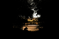 Wildlife photographer Paul McDougall