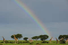 Wildlife photographer Paul McDougall
