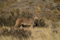 DSC4583a