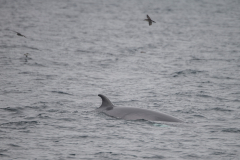 Isle of Mull photo tour with guide Paul McDougall
