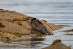 Isle of Mull photo tour with guide Paul McDougall