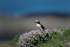 Isle of Mull photo tour with guide Paul McDougall