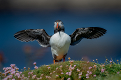 Isle of Mull photo tour with guide Paul McDougall