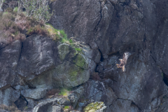 Isle of Mull photo tour with guide Paul McDougall