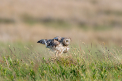Isle of Mull photo tour with guide Paul McDougall