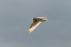 Isle of Mull photo tour with guide Paul McDougall