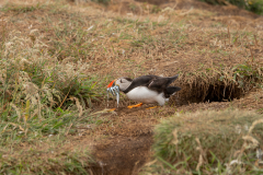 Isle of Mull photo tour with guide Paul McDougall