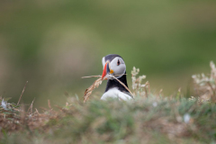 Isle of Mull photo tour with guide Paul McDougall