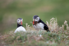 Isle of Mull photo tour with guide Paul McDougall