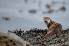 Isle of Mull photo tour with guide Paul McDougall
