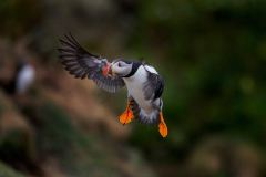 Isle of Mull photo tour with guide Paul McDougall