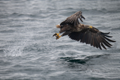 Isle of Mull photo tour with guide Paul McDougall
