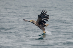 Isle of Mull photo tour with guide Paul McDougall