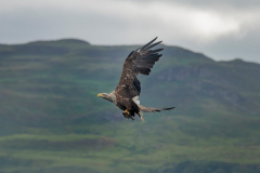 Isle of Mull photo tour with guide Paul McDougall