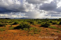 Samburu by Wildlife Photographer Paul McDougall