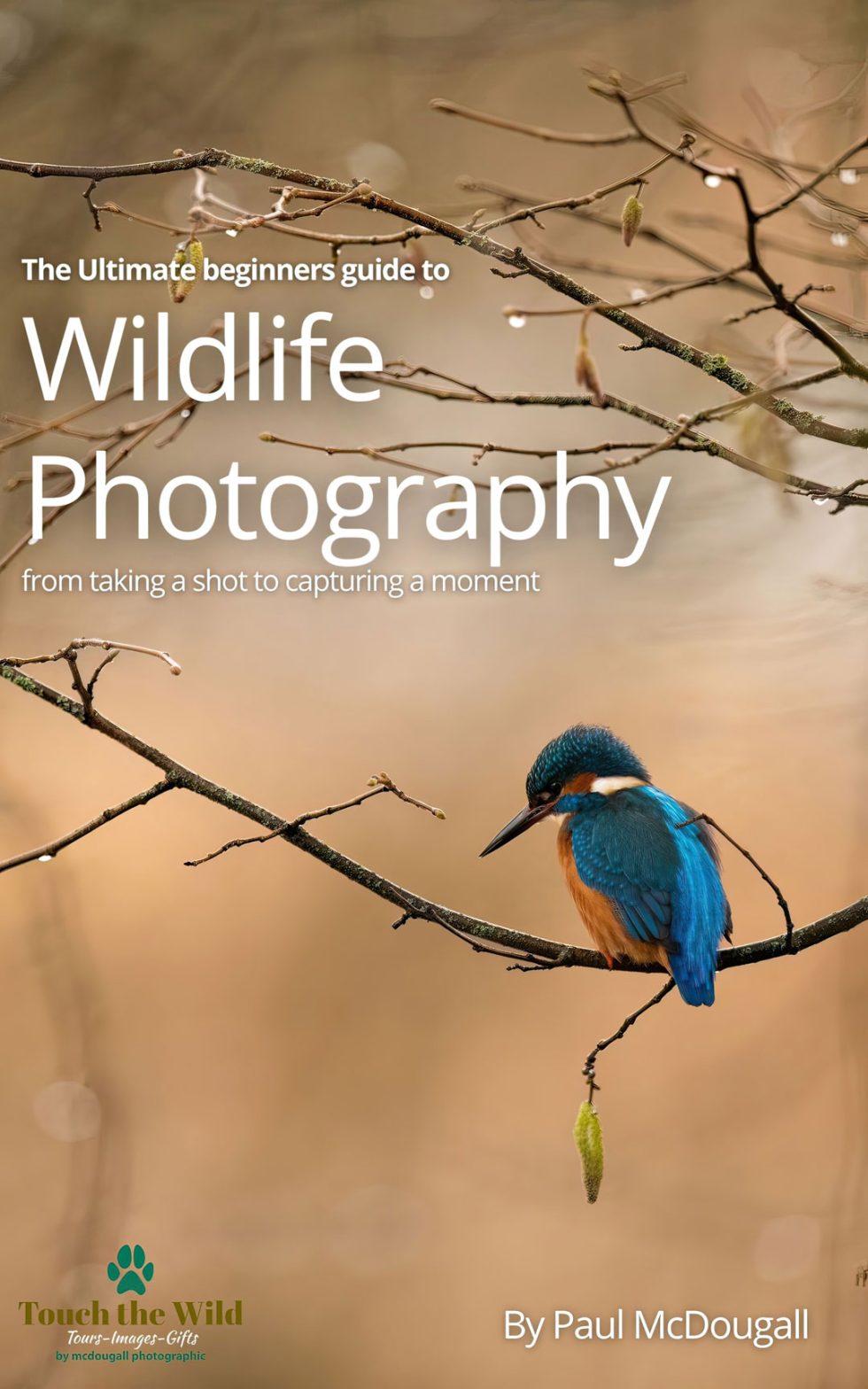 The Ultimate Beginners Guide to Wildlife Photography | McDougall ...
