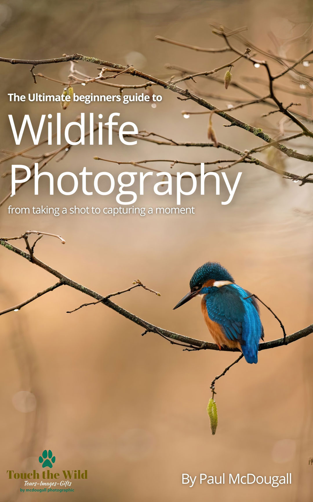 The Ultimate Beginners Guide to Wildlife Photography