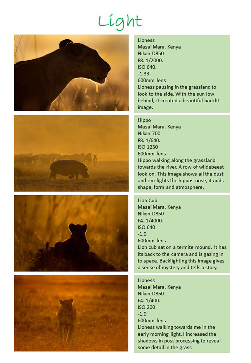 Light. Ultimate Beginners Guide to Wildlife Photography
