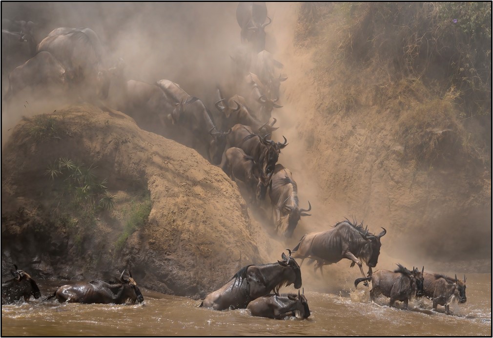 Photographing the Great Migration - Jumping