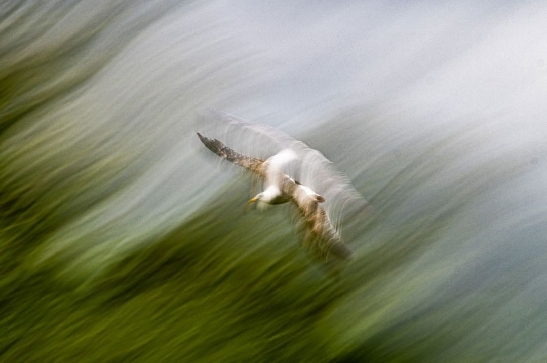 Creative Photographic Workshop