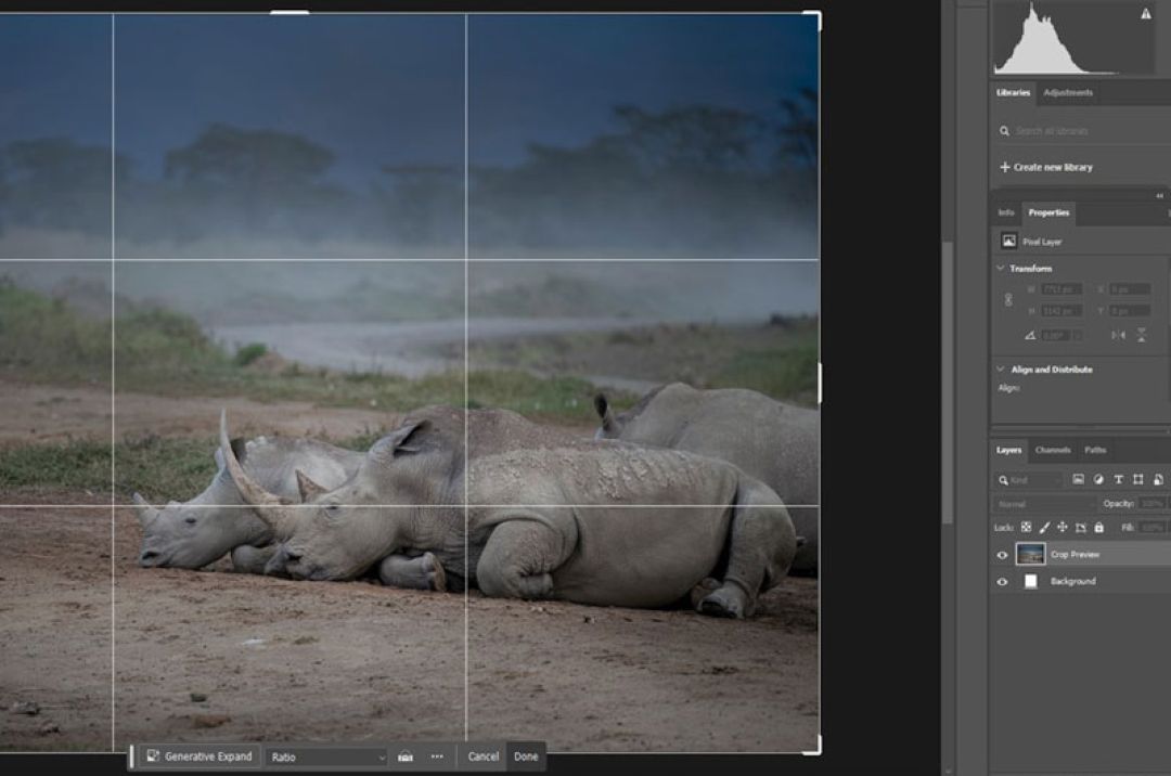 Portfolio Photographic Workshop