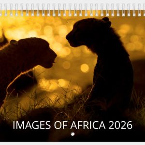 Images of Africa - Wildlife Calendar 2026