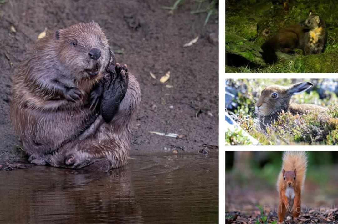 Perthshire Photographic Workshop