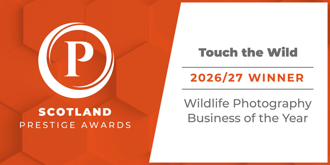 Scotland Prestige Awards. Wildlife Photography Business of the Year. 2026 2027 Winner.