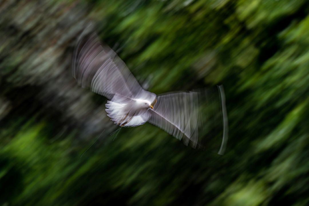 Creative Photography Workshop Light, Slow Shutter Speeds and ICM