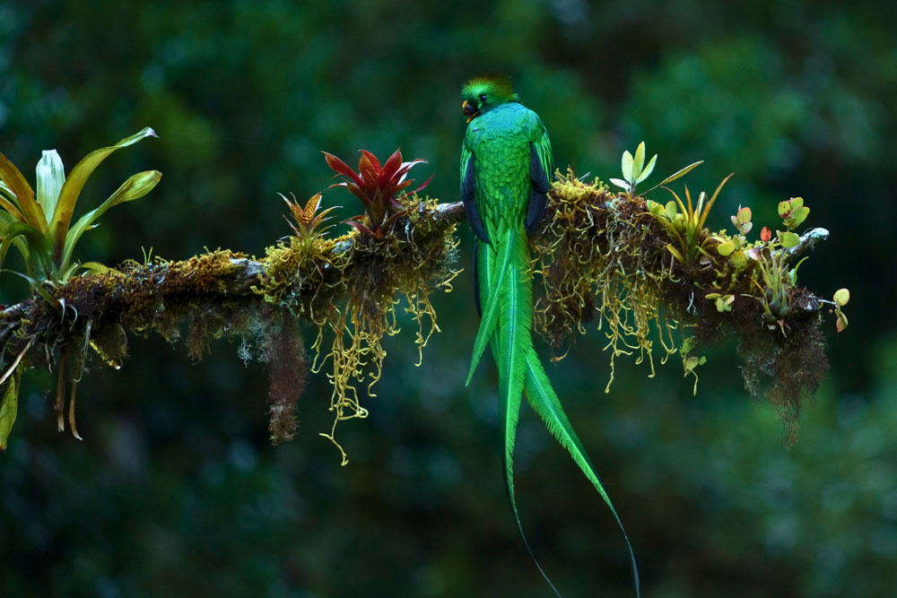 Costa Rica photographic tour