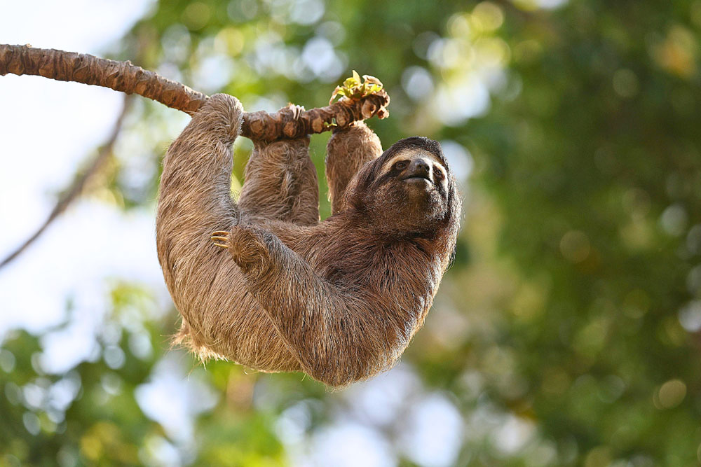 Costa Rica photographic tour