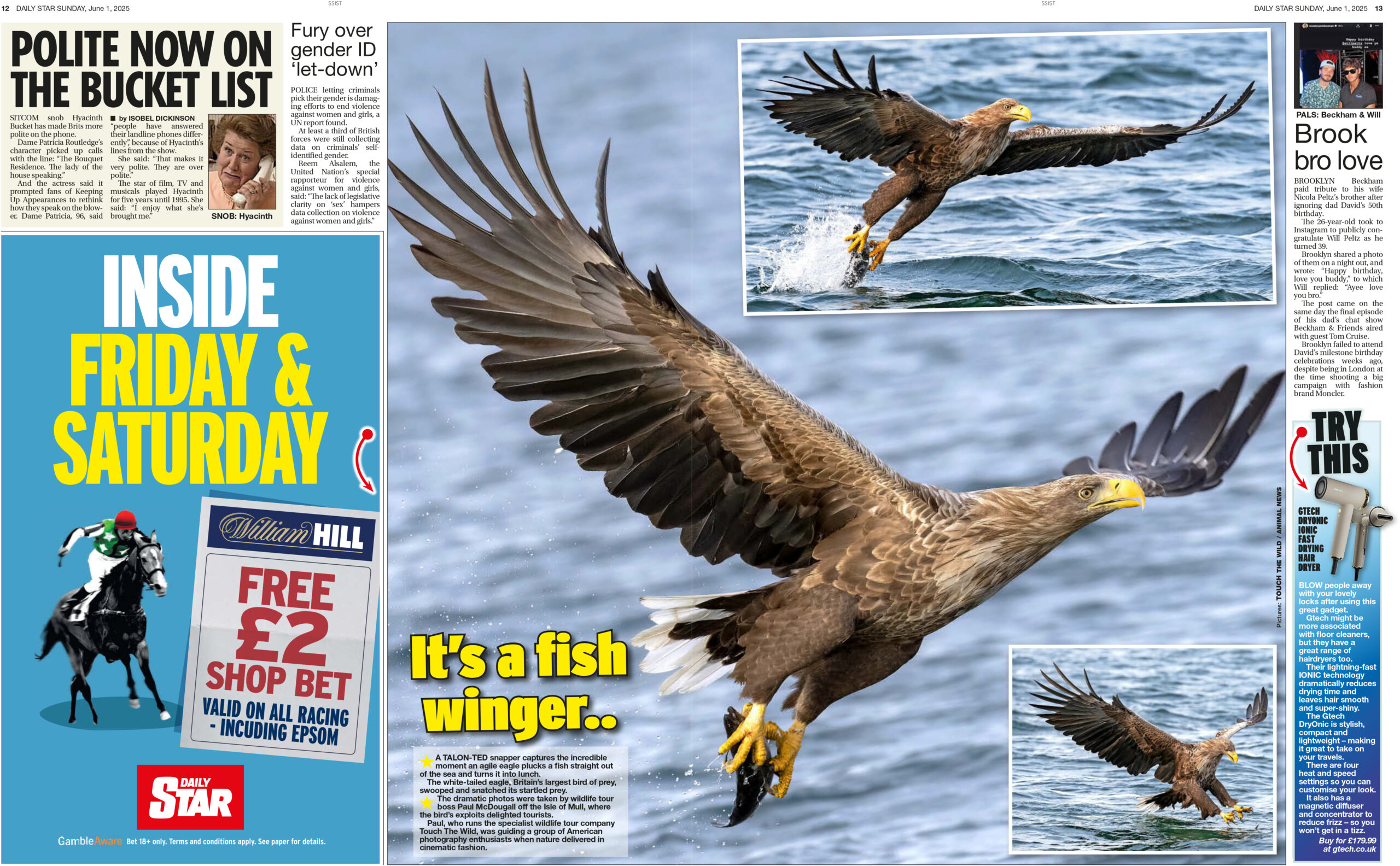 Scotland Prestige Awards. Wildlife Photography Business of the Year. 2026 2027 Winner.