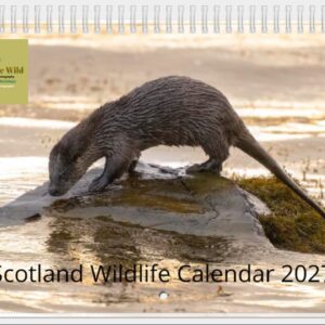 Scottish Wildlife Calendar 2027