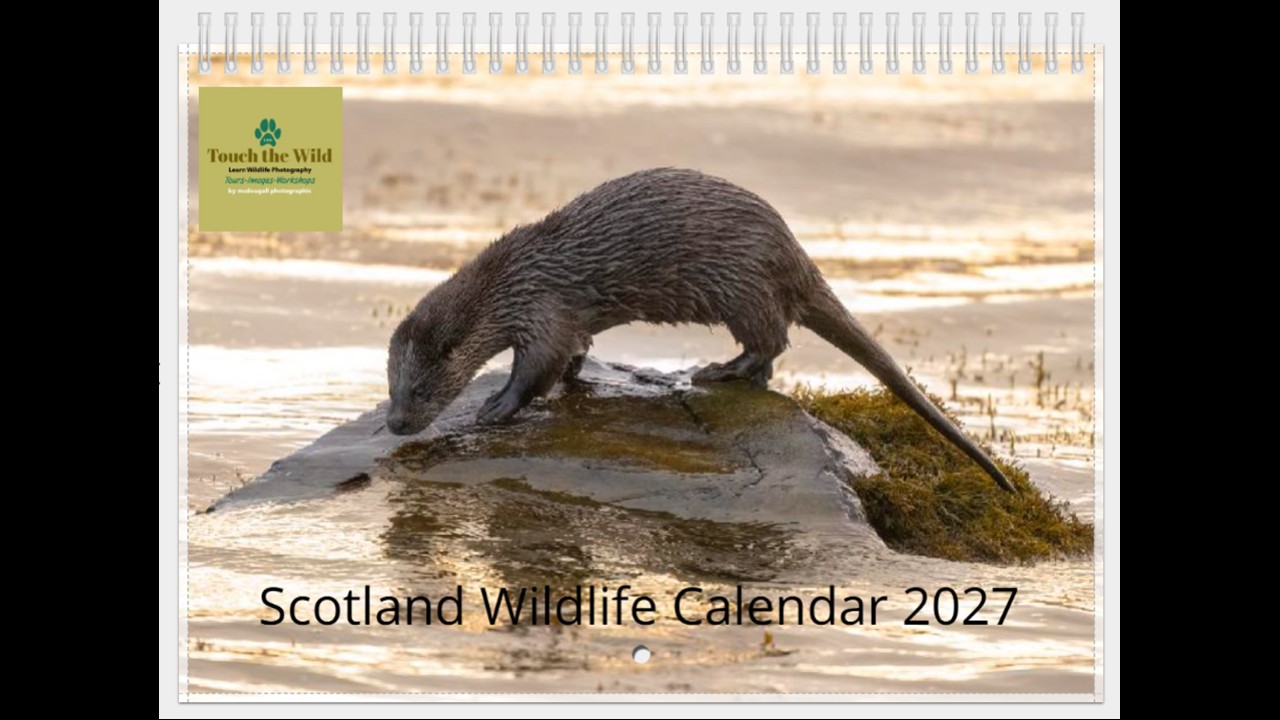 Scottish Wildlife Calendar 2027