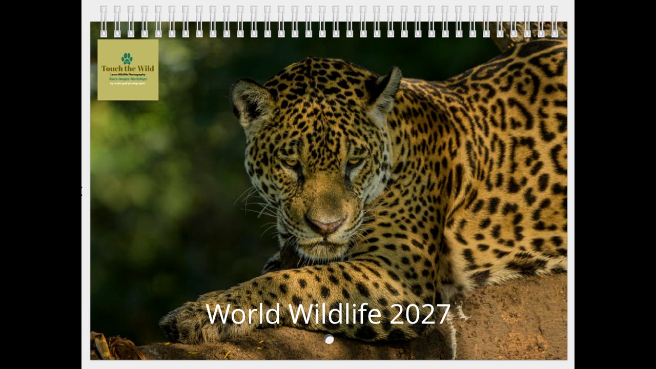 World Wildlife Calendar 2027