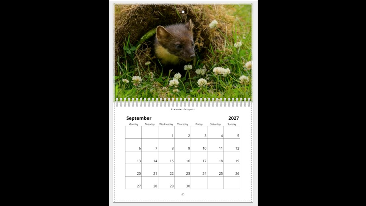 Scottish Wildlife Calendar 2027 - Image 10