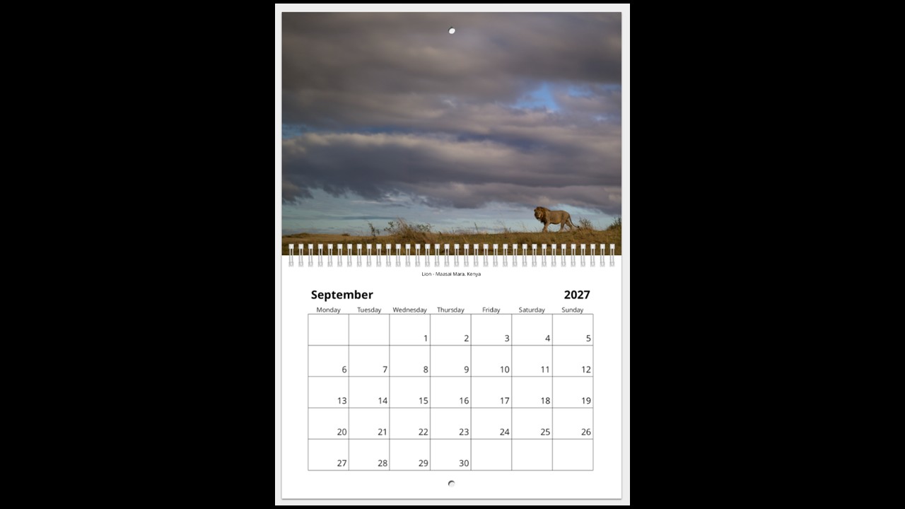 World Wildlife Calendar 2027 - Image 10