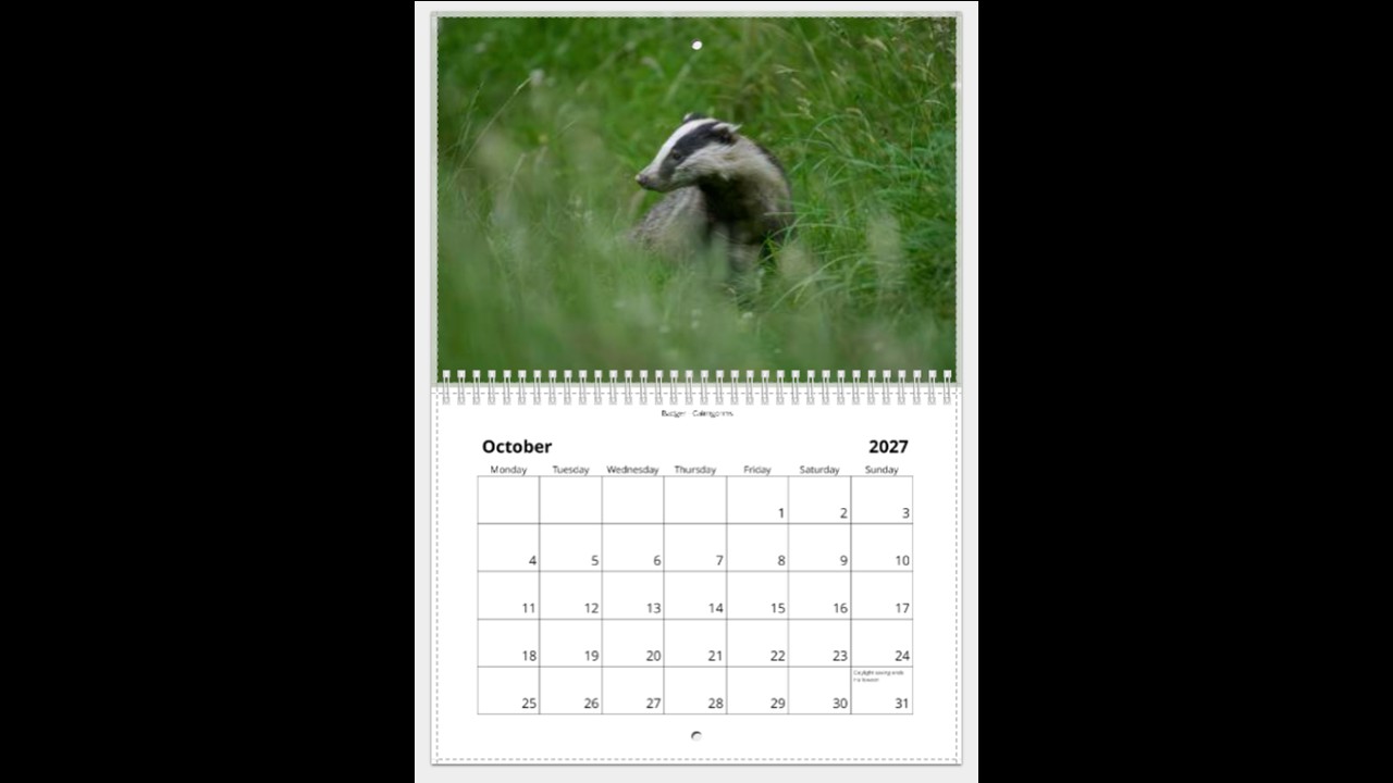 Scottish Wildlife Calendar 2027 - Image 11