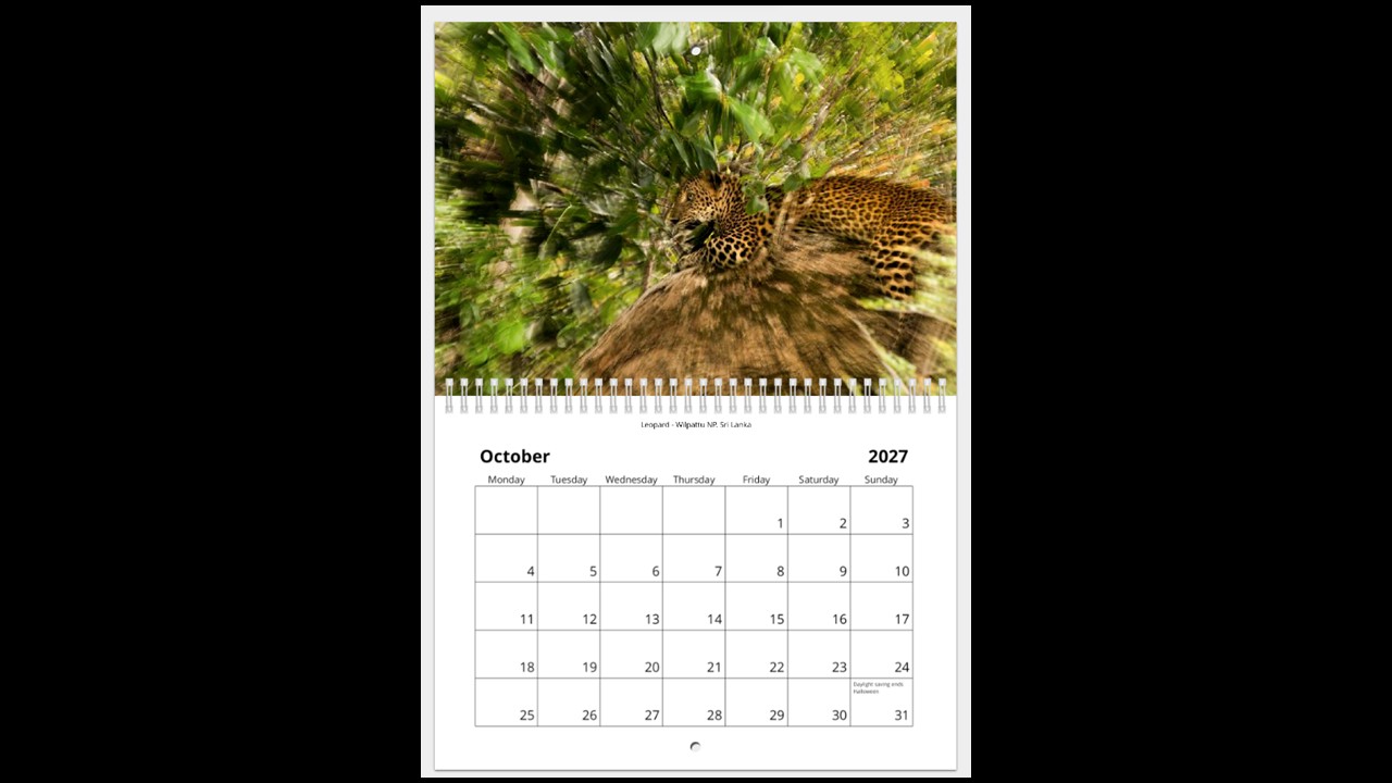 World Wildlife Calendar 2027 - Image 11