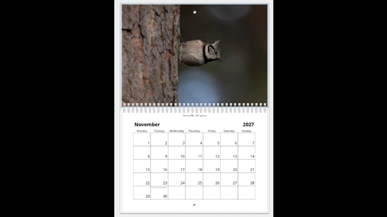 Scottish Wildlife Calendar 2027 - Image 12