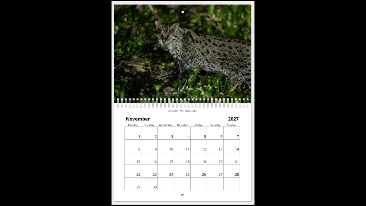World Wildlife Calendar 2027 - Image 12