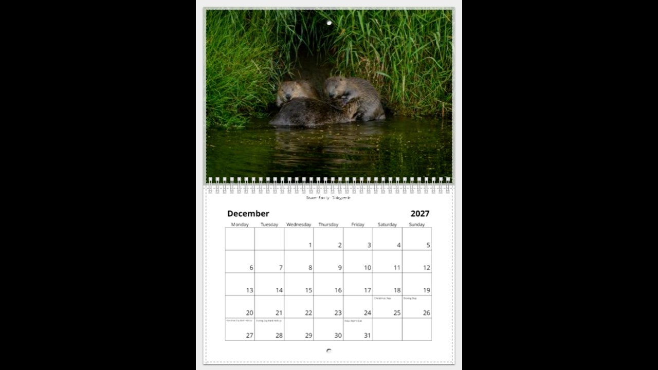 Scottish Wildlife Calendar 2027 - Image 13