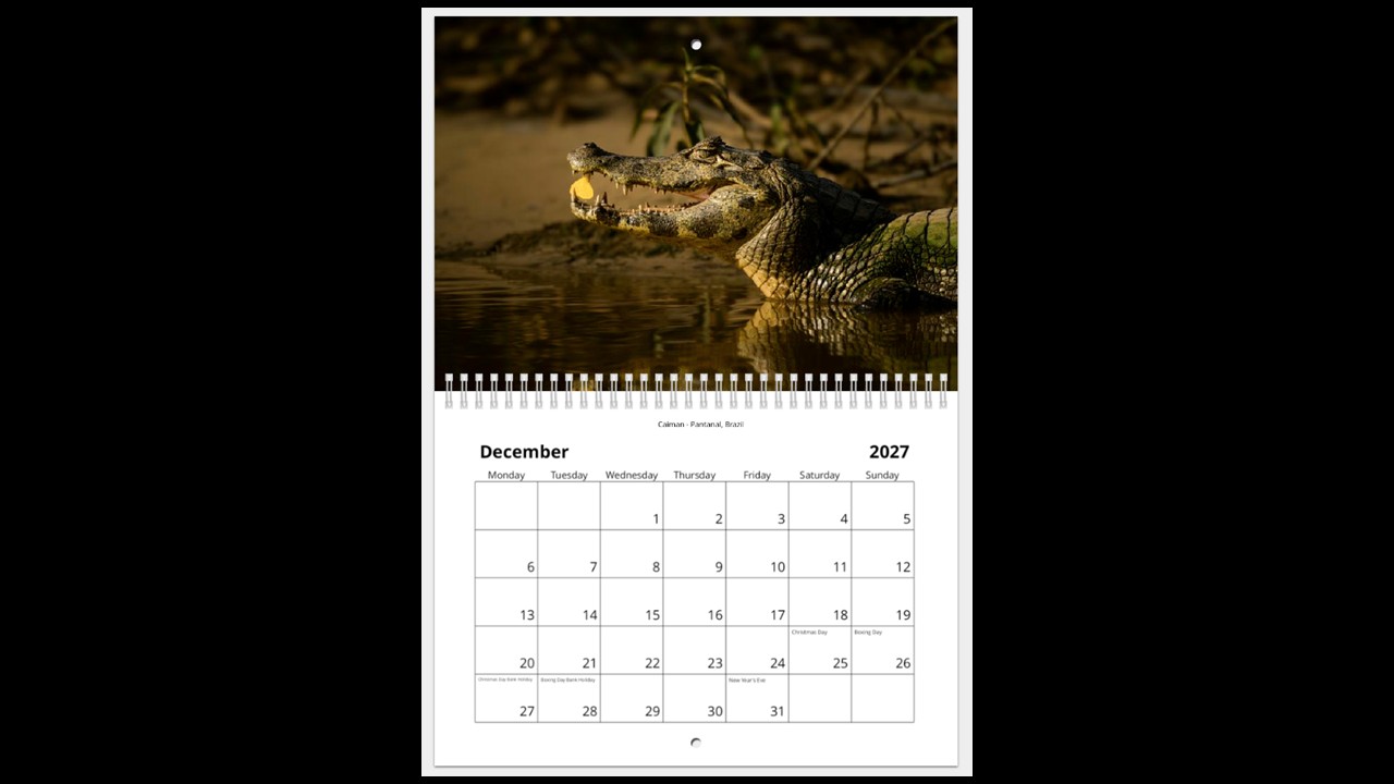 World Wildlife Calendar 2027 - Image 13