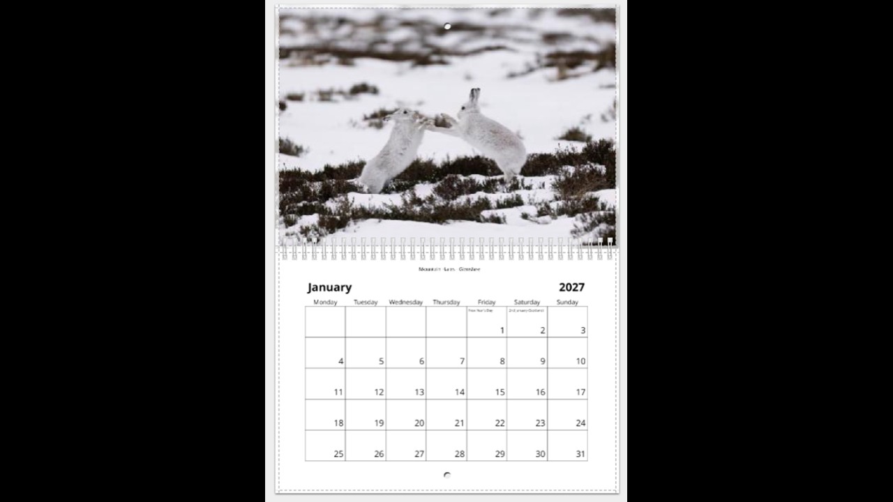Scottish Wildlife Calendar 2027 - Image 2