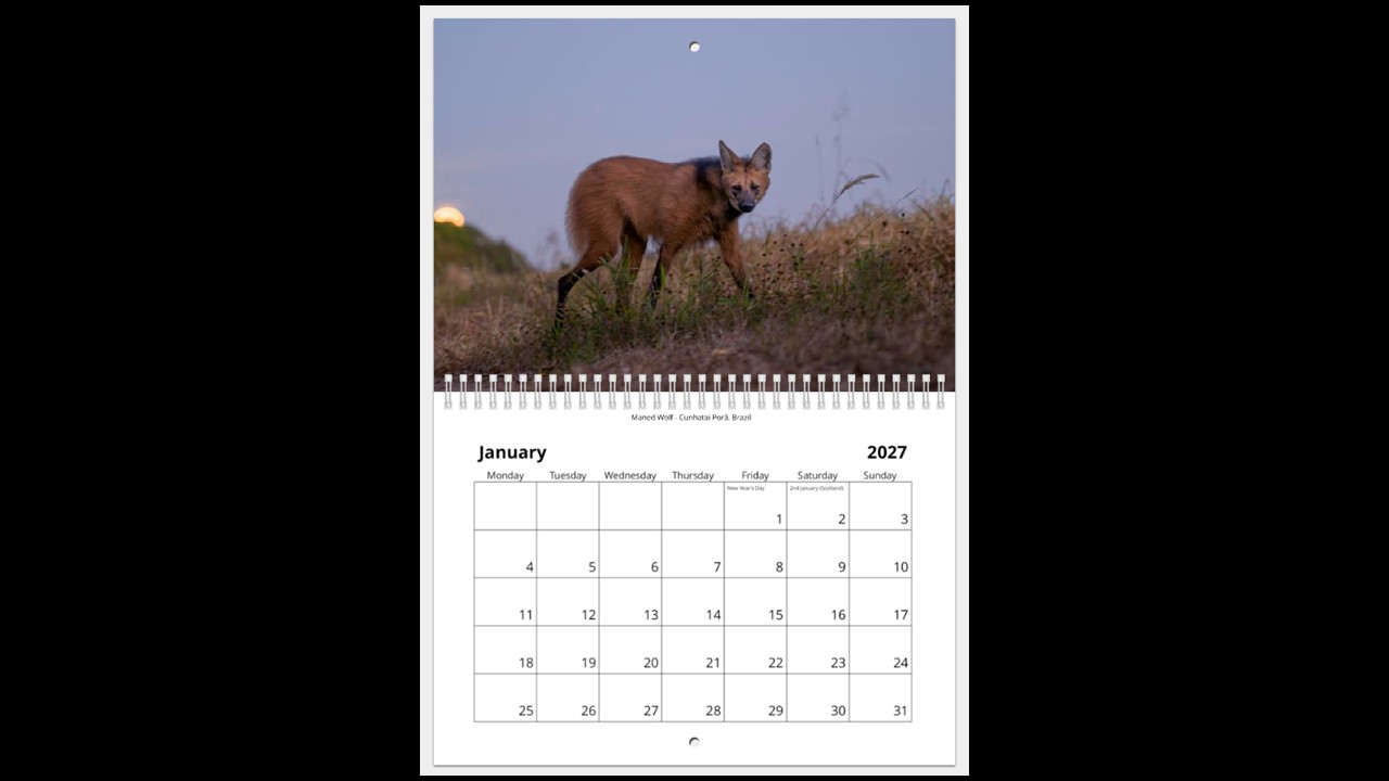 World Wildlife Calendar 2027 - Image 2