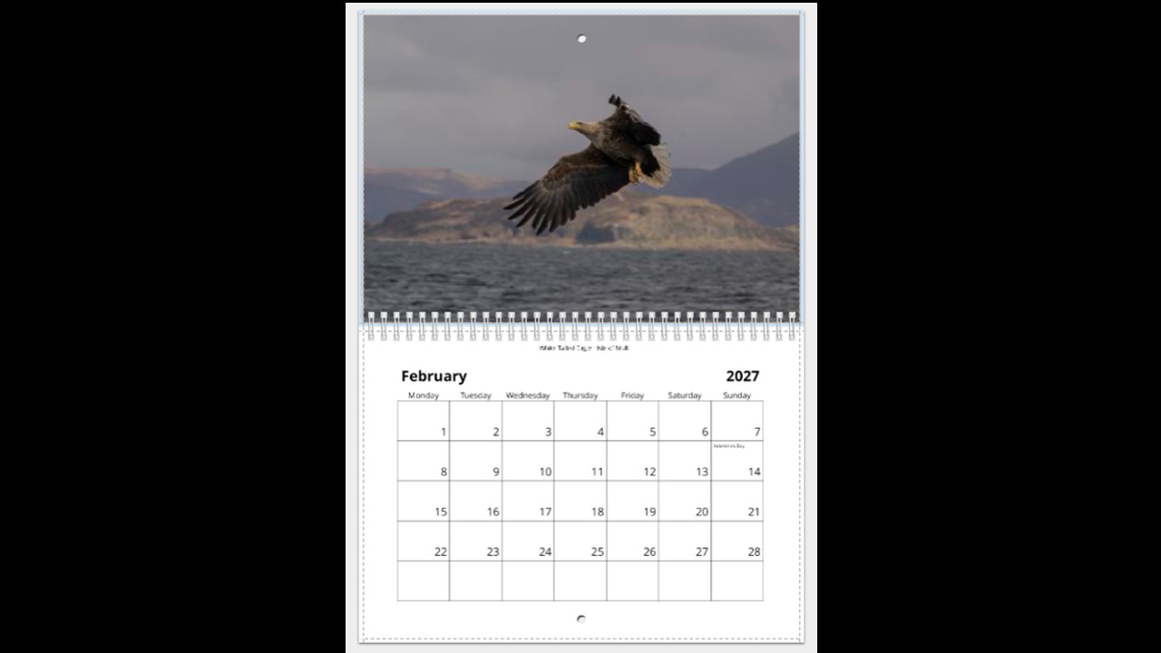 Scottish Wildlife Calendar 2027 - Image 3