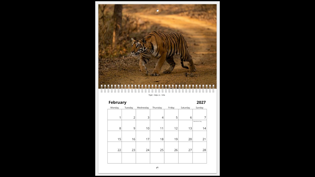 World Wildlife Calendar 2027 - Image 3