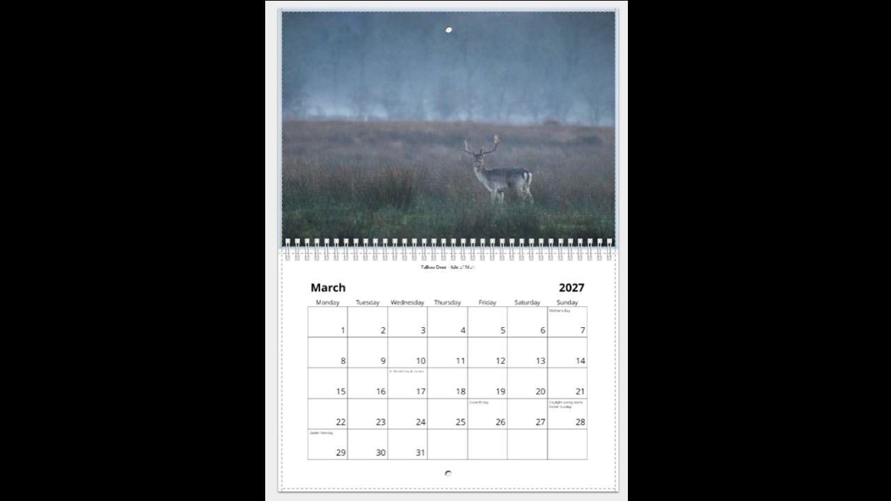 Scottish Wildlife Calendar 2027 - Image 4