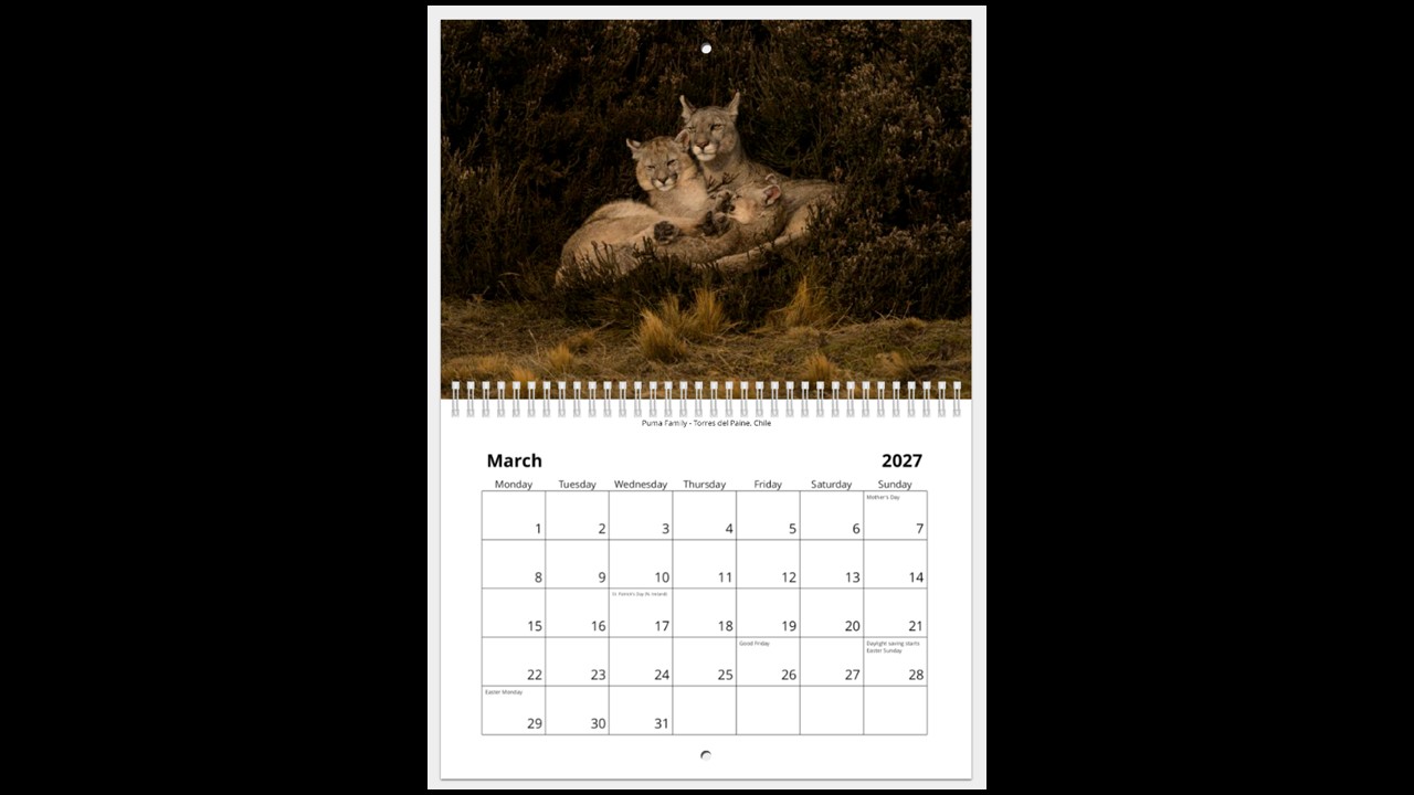 World Wildlife Calendar 2027 - Image 4