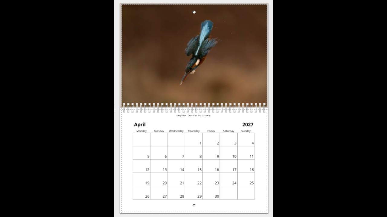 Scottish Wildlife Calendar 2027 - Image 5